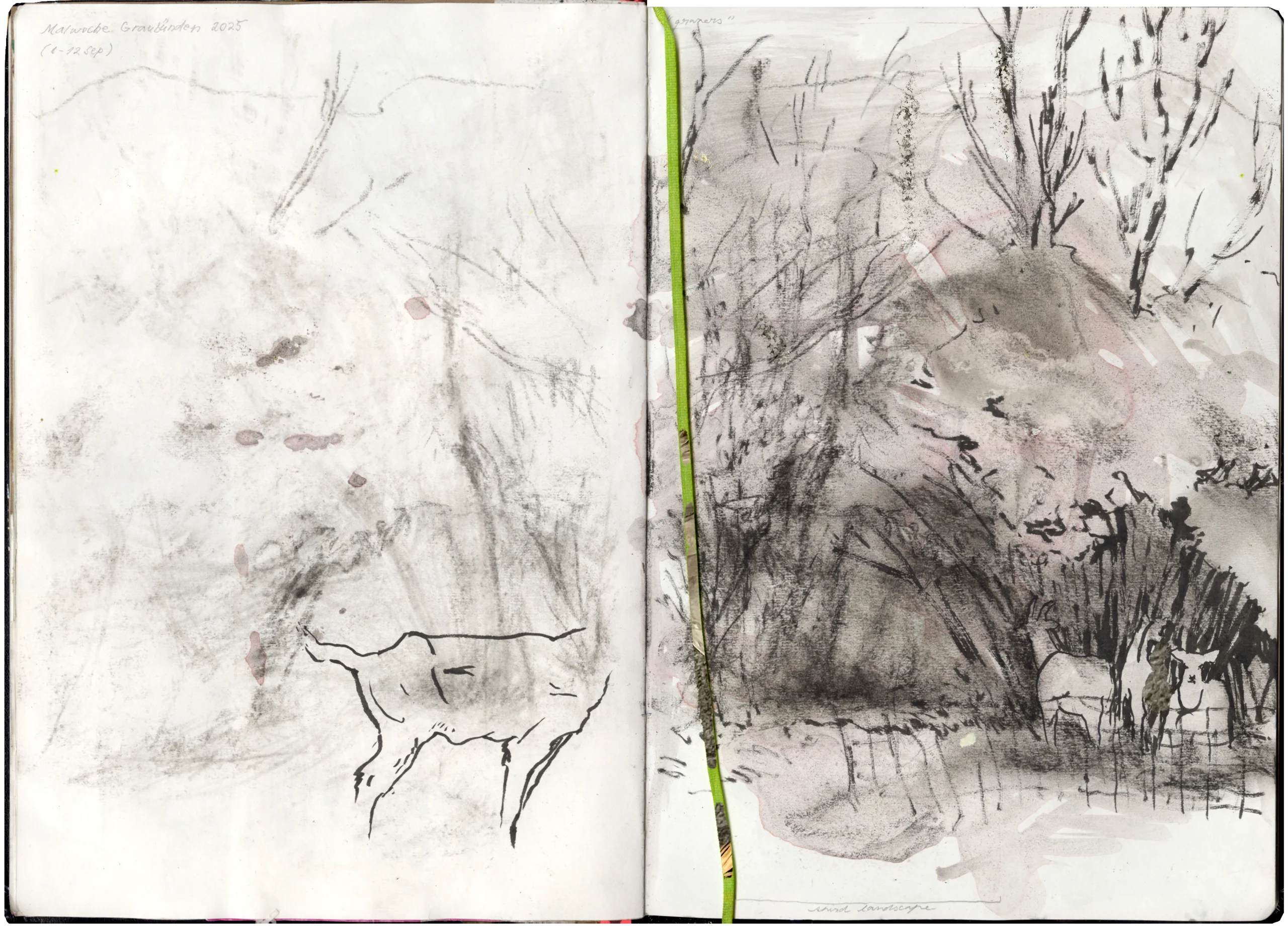 Sketchbook page with ink and charcoal goat and landscape drawings