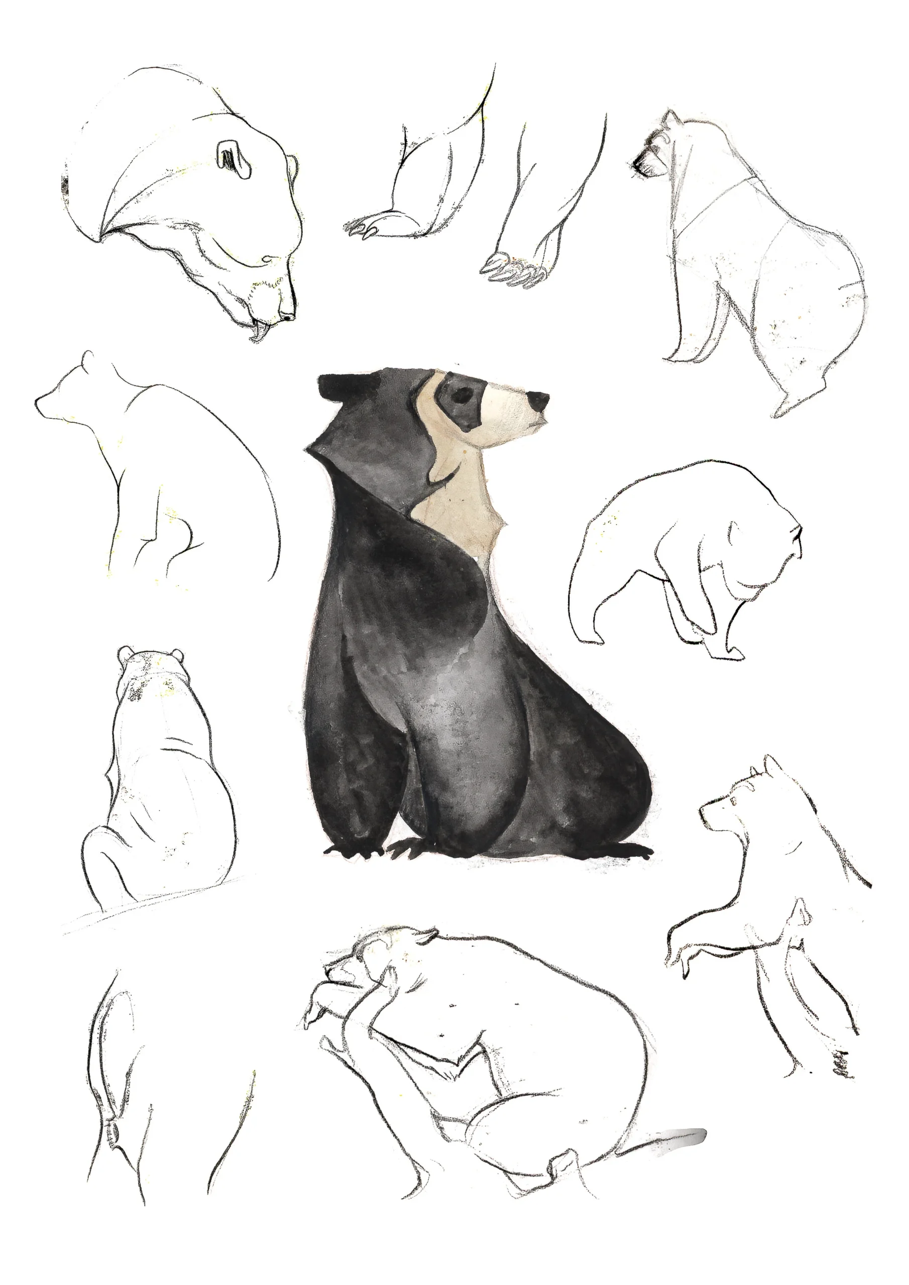 Zoo sketches of spectacled bears